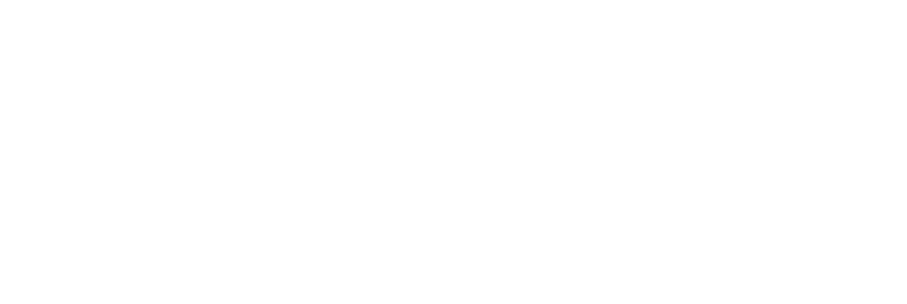 Logo Universidad Finis Terrae