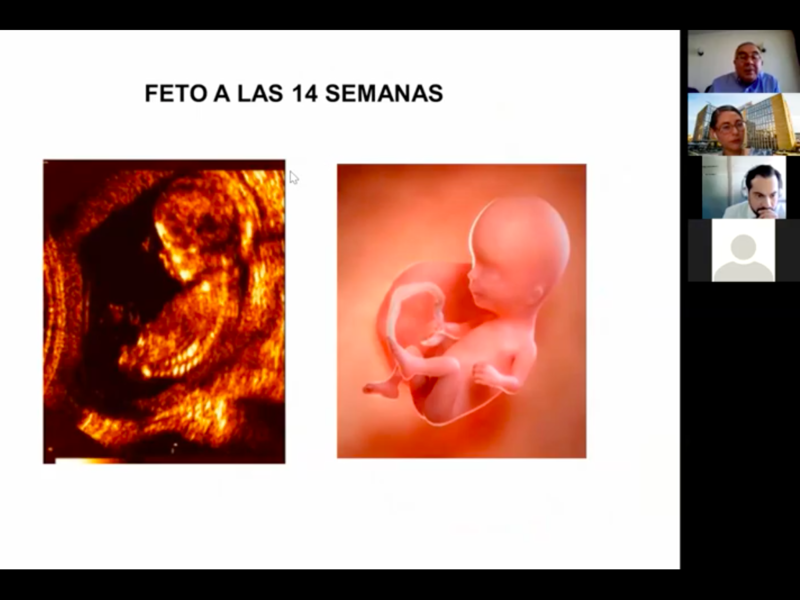 Facultad Derecho Universidad Finis Terrae Instituto Bioetica Facultad Medicina seminario proyecto ley despenalizacion aborto Chile 14 semanas completo
